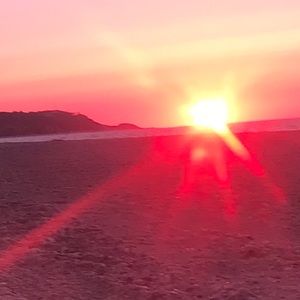 Meet your Posher, Angelina